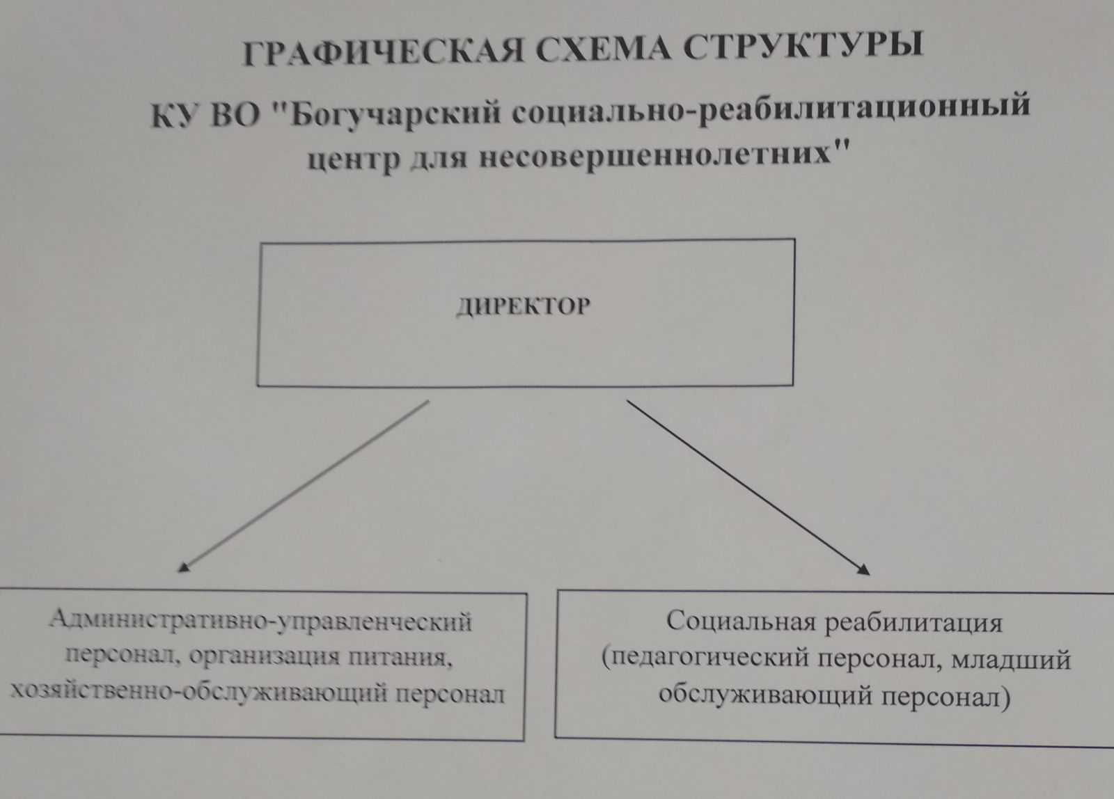 Руководство. Структура организации